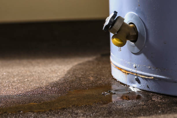 Best Water damage restoration cost  in Napoleon, OH