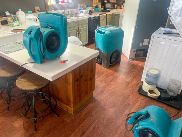 Best 24-hour water damage restoration  in Napoleon, OH