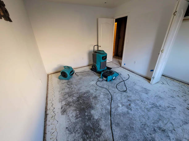 Best Carpet water damage restoration  in Napoleon, OH