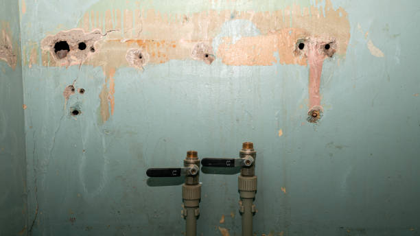 Best Professional water damage repair  in Napoleon, OH