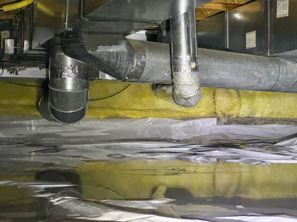 Best Water damage restoration near me  in Napoleon, OH