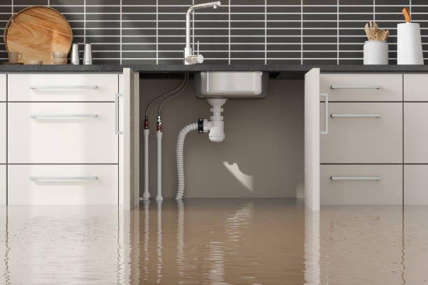 Best Flooded house restoration  in Napoleon, OH