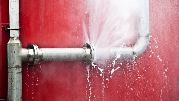 Best Water damage mitigation services  in Napoleon, OH